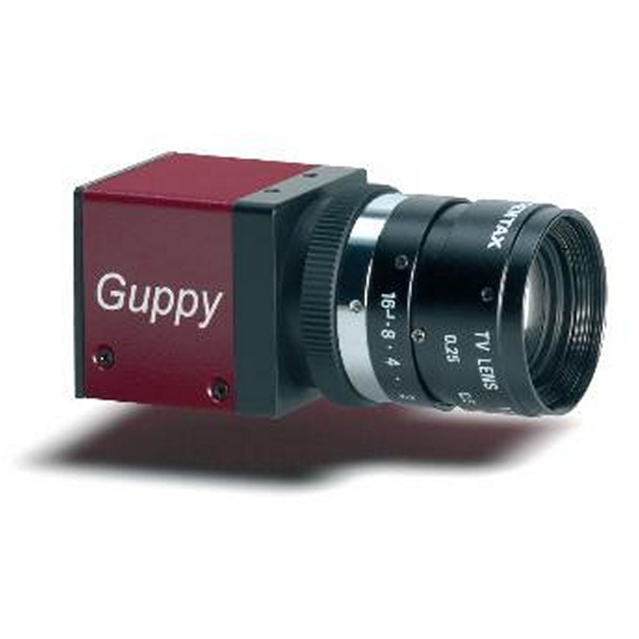 Guppy F 038, GuppyF038B, (Guppy F 038B) 