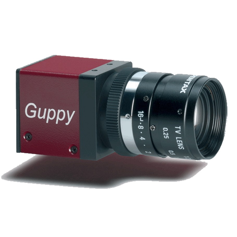 Guppy F 044, GuppyF044B, (Guppy F 044B) 