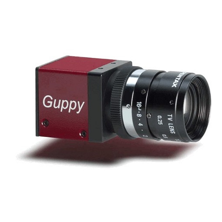 Guppy F 146, GuppyF146B, (Guppy F 146B) 