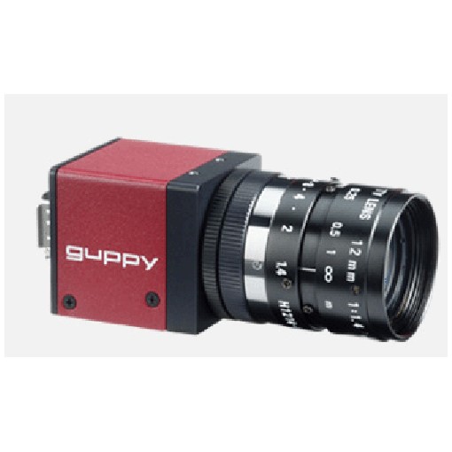Guppy Pro F 031, GuppyProF031C, (Guppy Pro F 031C) 