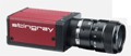 StingrayF033CFIBER, (Stingray F 033C FIBER) 