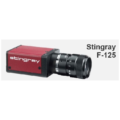 Stingray F 125, StingrayF125B, (Stingray F 125B) 