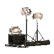 CAR2CAM, (CAR 2CAM) 