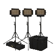 CP STND V, CPSTNDV3, (CP STND V3) 