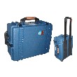 RMBSK100, (RMB SK100) 